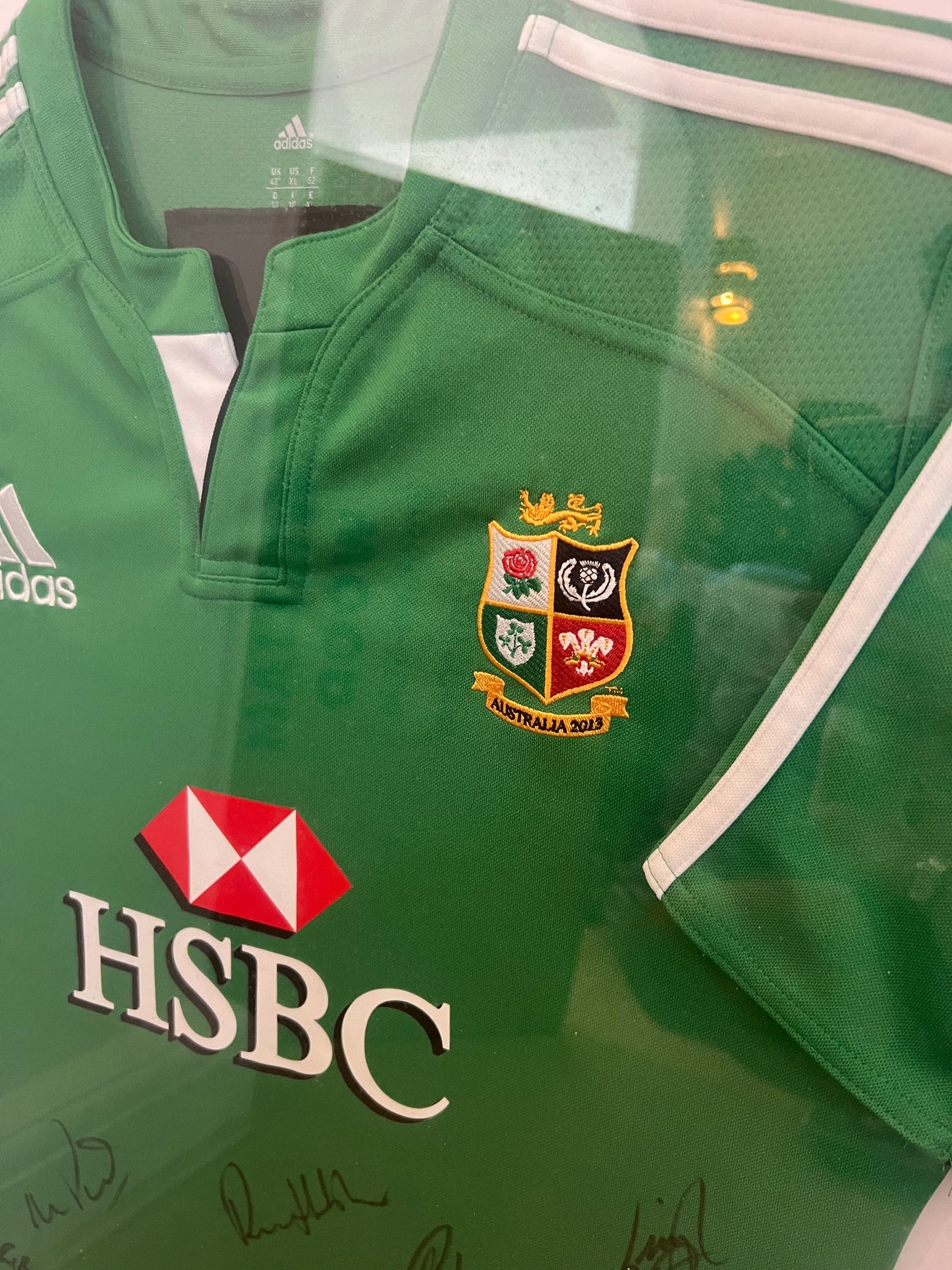 Signed + Framed Victorious Lions 2013 Training Shirt