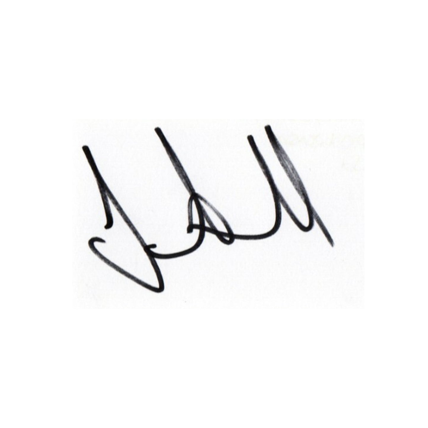 Signature